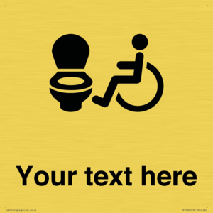 Custom information: Accessible Toilet LtR